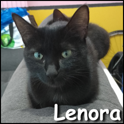 Lenora