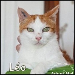 Léo