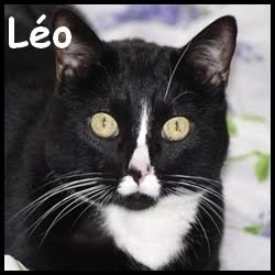 Léo