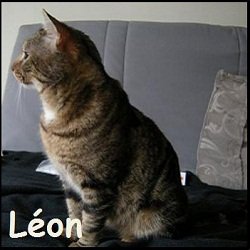 Léon