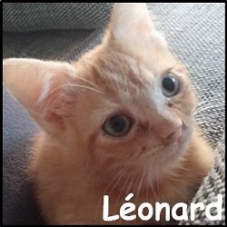 Leonard