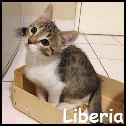 Liberia