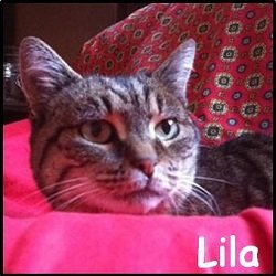 Lila