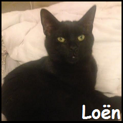 Loen