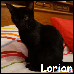 Lorian