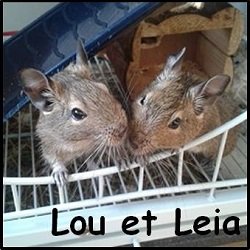 Lou et Leia