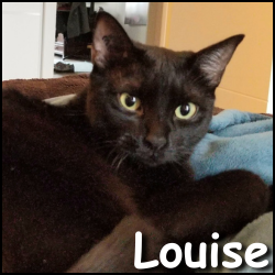 Louise