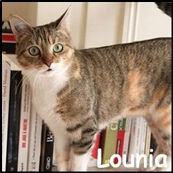 Lounia