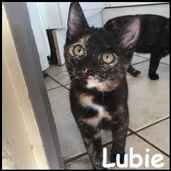 Lubie