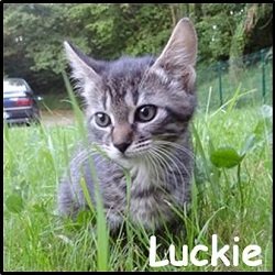 Luckie