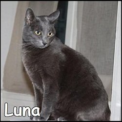 Luna