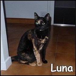 Luna