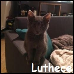 Luthece