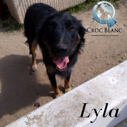 Lyla