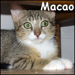 Macao