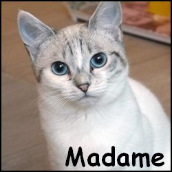 Madame