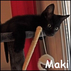 Maki