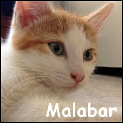 Malabar