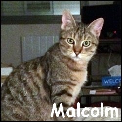 Malcolm