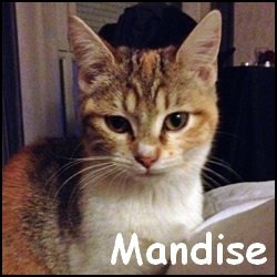 Mandise