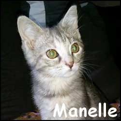 Manelle