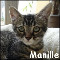 Manille