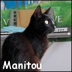 Manitou