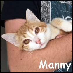 Manny