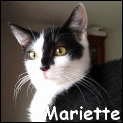 Mariette