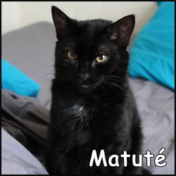 Matuté