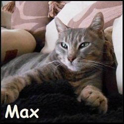 Max