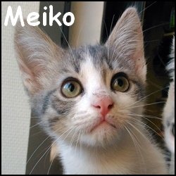 Meiko