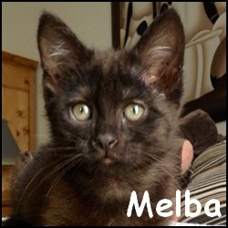 Melba