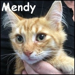 Mendy