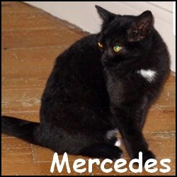 Mercedes