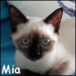 Mia