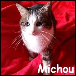 Michou