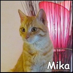 Mika