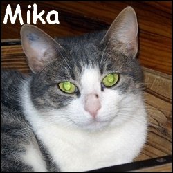 Mika