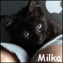 Milka