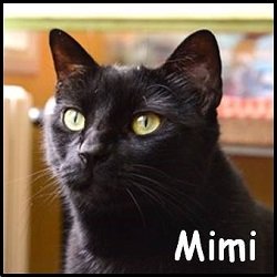 Mimi