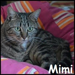 Mimi