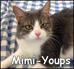 Mimi-Youps