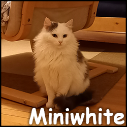 Miniwhite