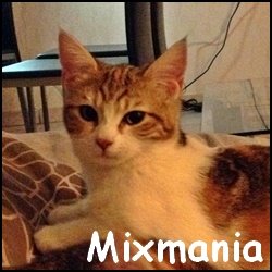 Mixmania