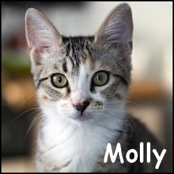 Molly