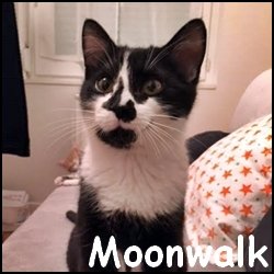 Moonwalk