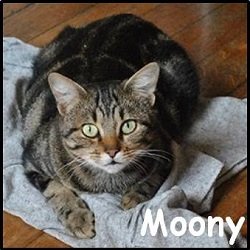 Moony