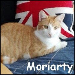 Moriarty