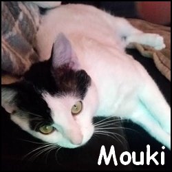 Mouki